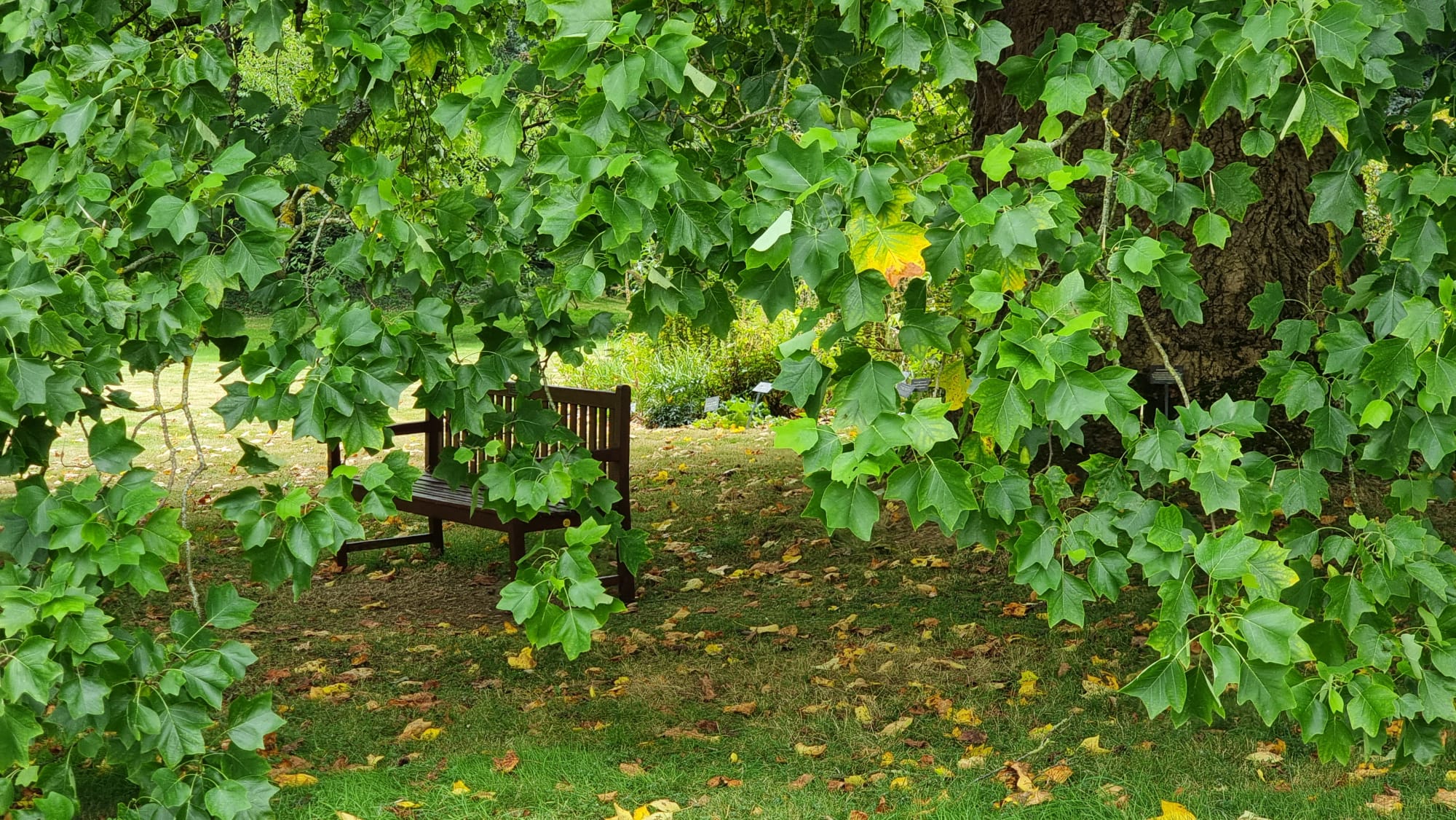 Sitting in the Power, eine stille Kraft für mehr Präsenz und innere Verbindung mit Dir